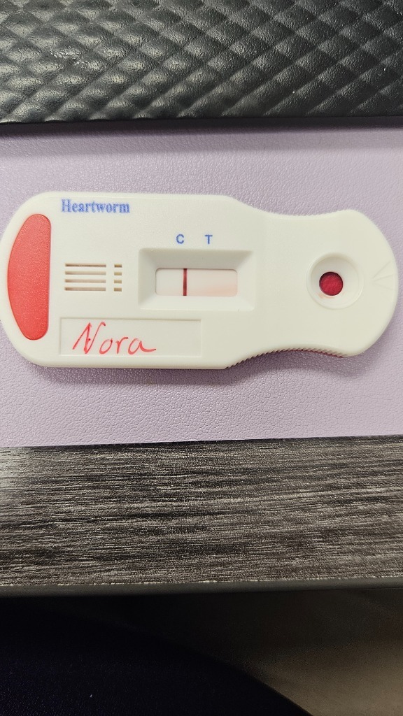 Nora