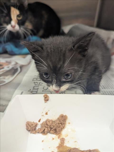 TRUFFLE
