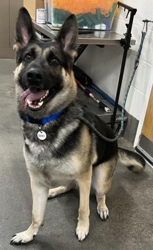 HUGO