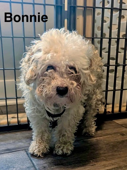 Bonnie bonded to Bob
