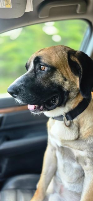 Duke