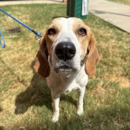Winnie