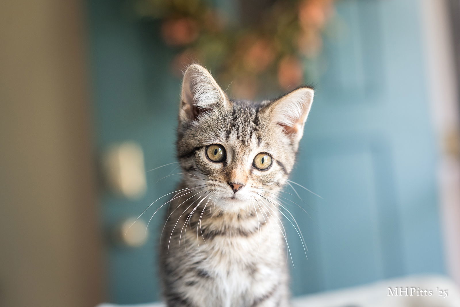 Edward Scissorpaws