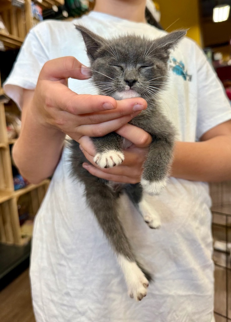 Finn