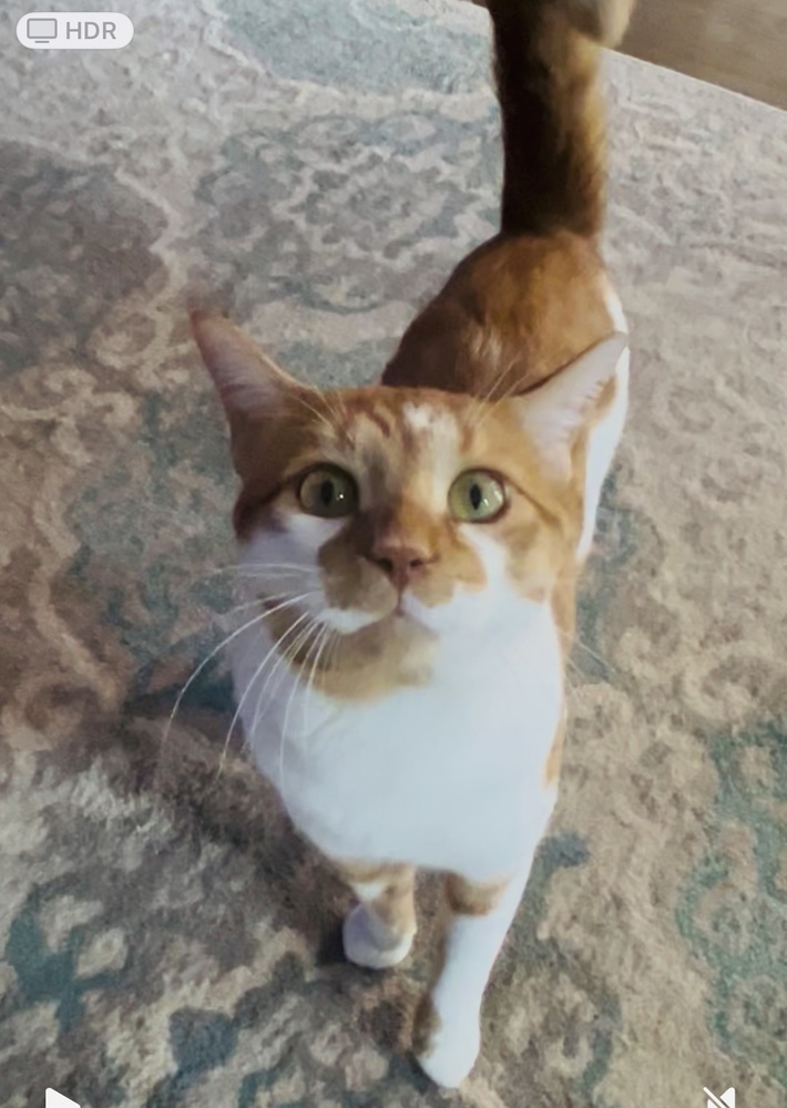 Tito
