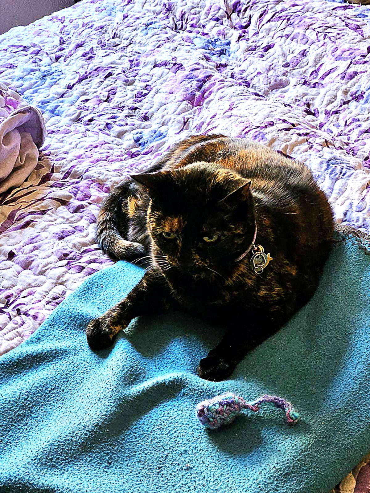 persephone