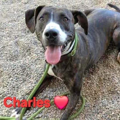 Charles