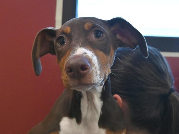 Lilli thumbnail 2