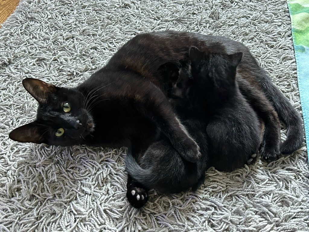 Luna