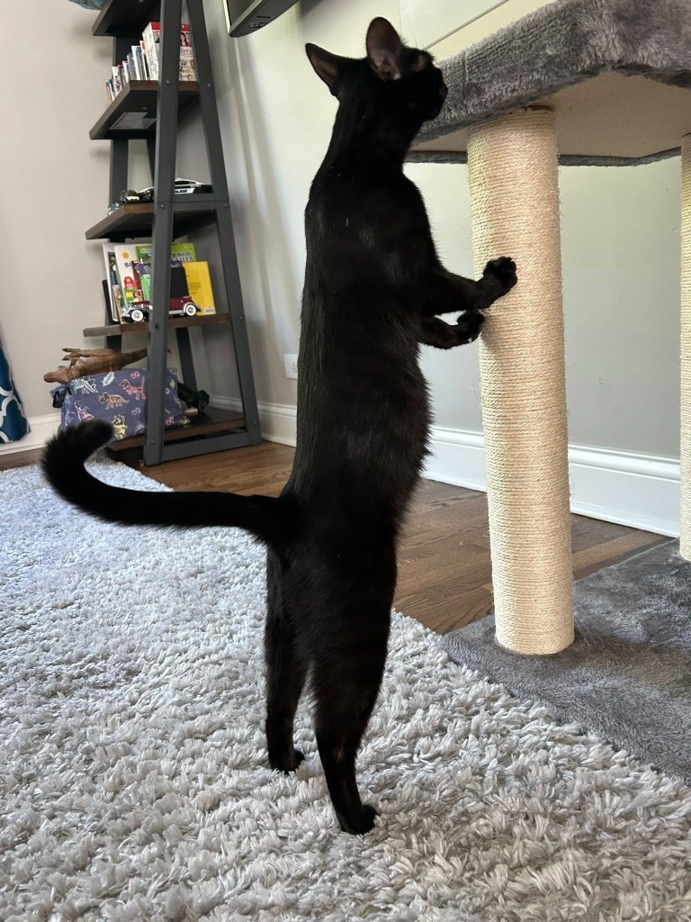 Luna