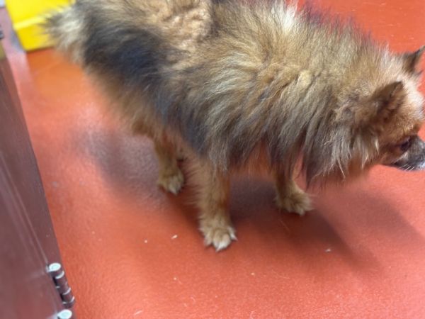 Watson thumbnail 3