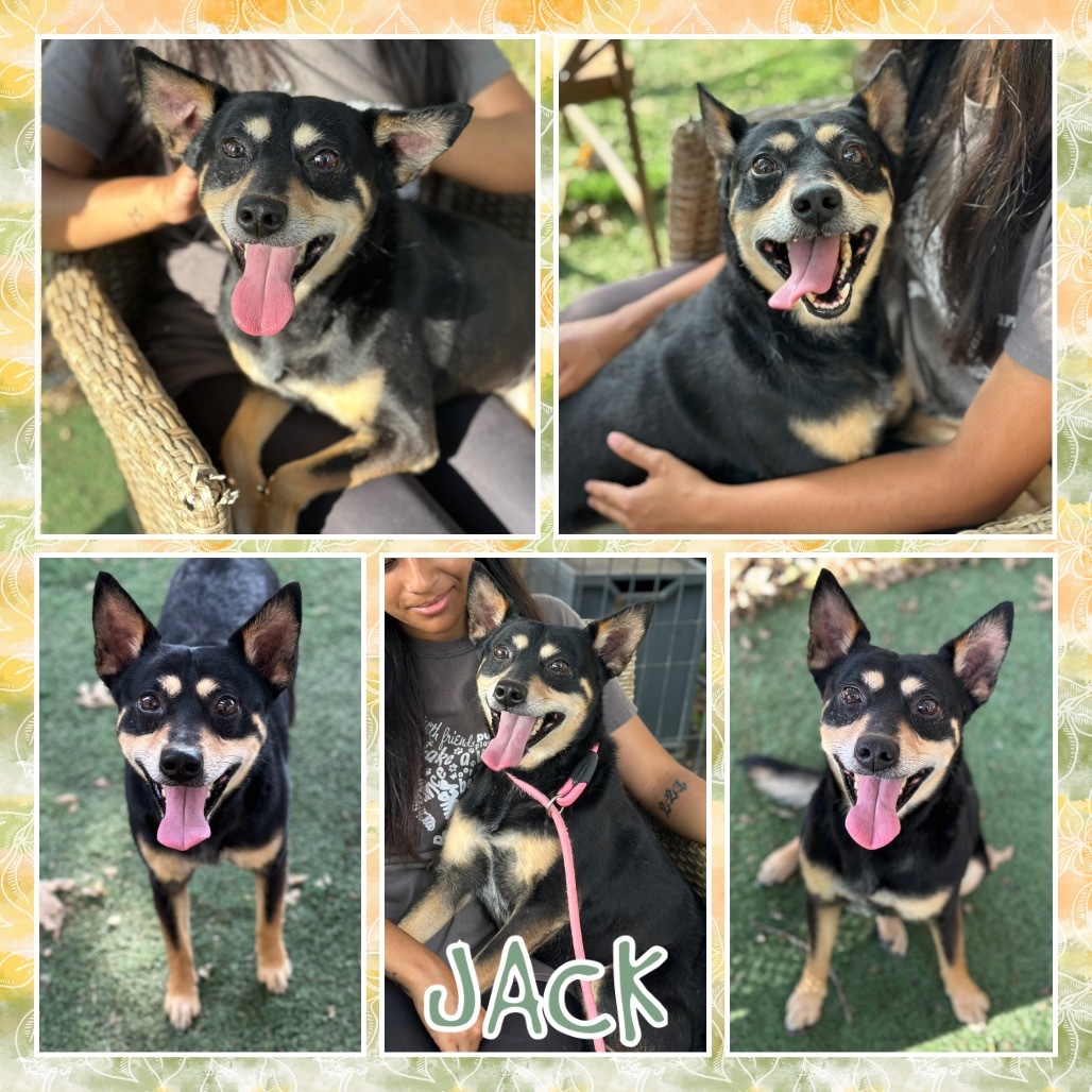 Jack