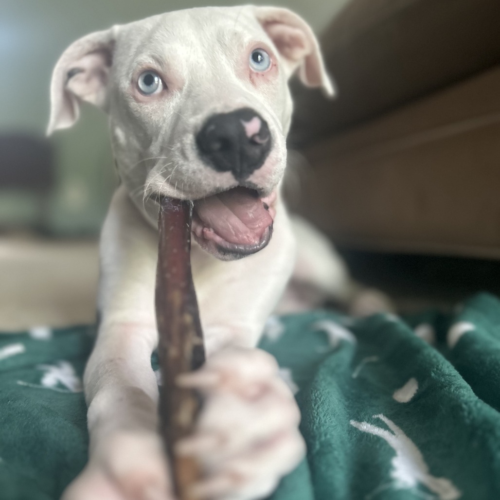 Winter-Foster