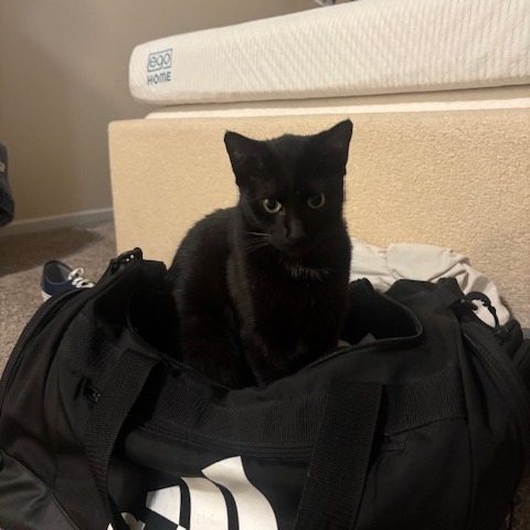 Nala