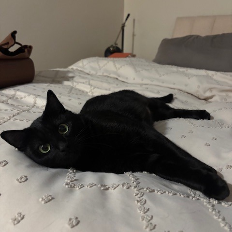 Lyla