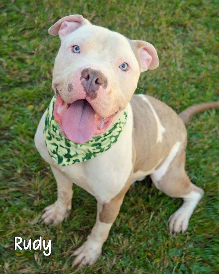 Rudy