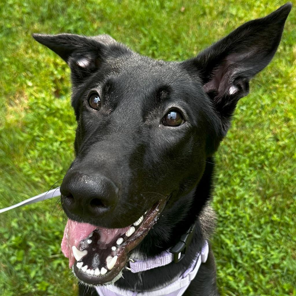 Frida