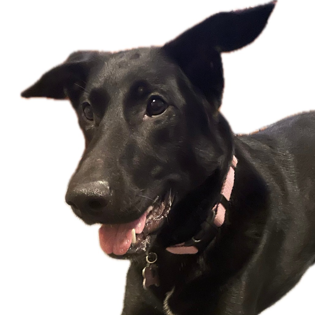 Frida
