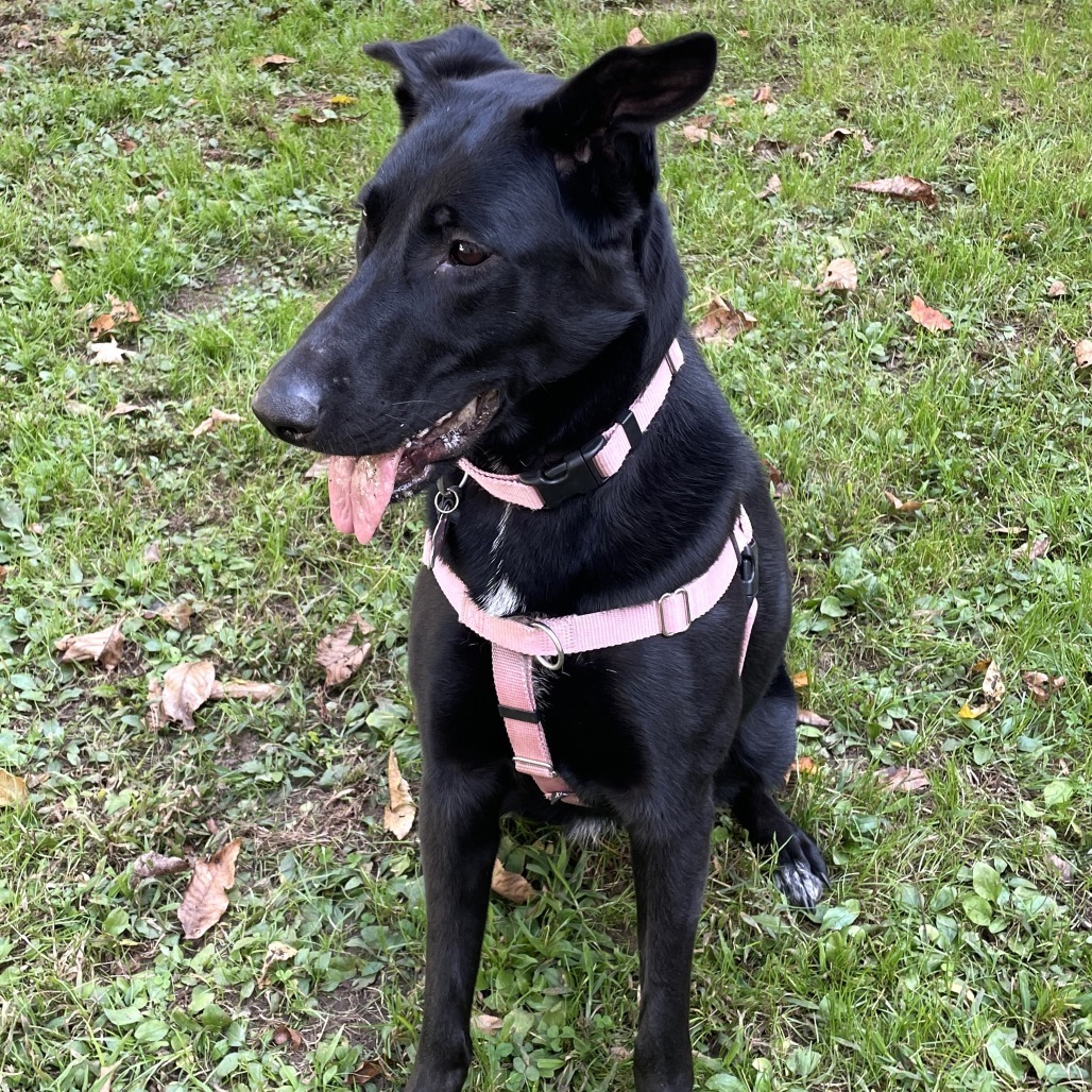 Frida