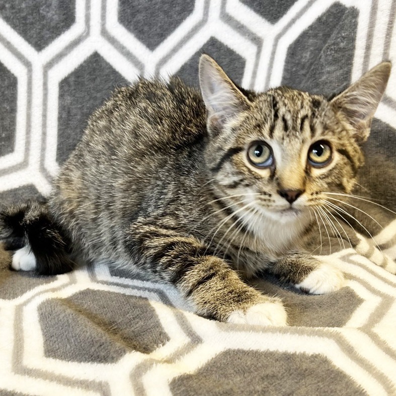 Quincy