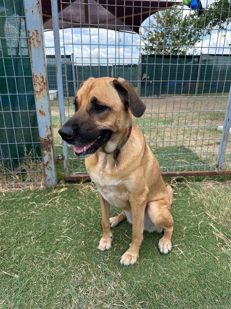 Malija