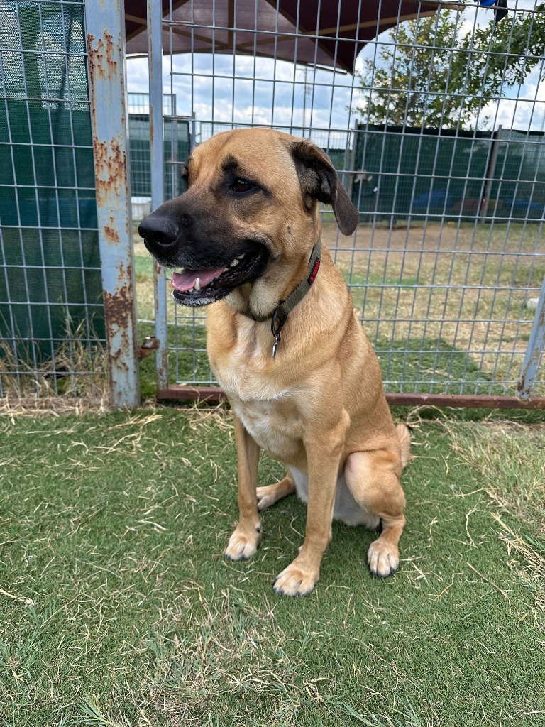 Malija