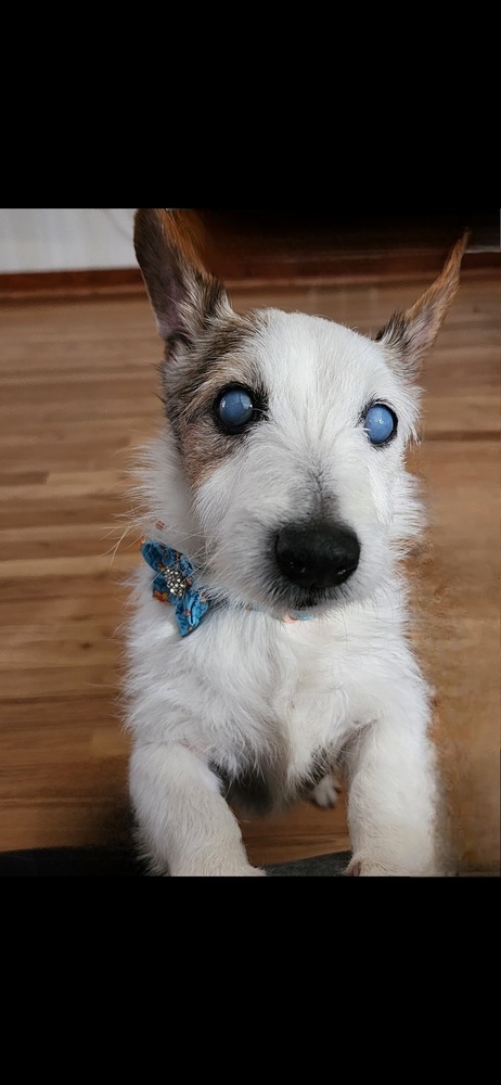 Sadie