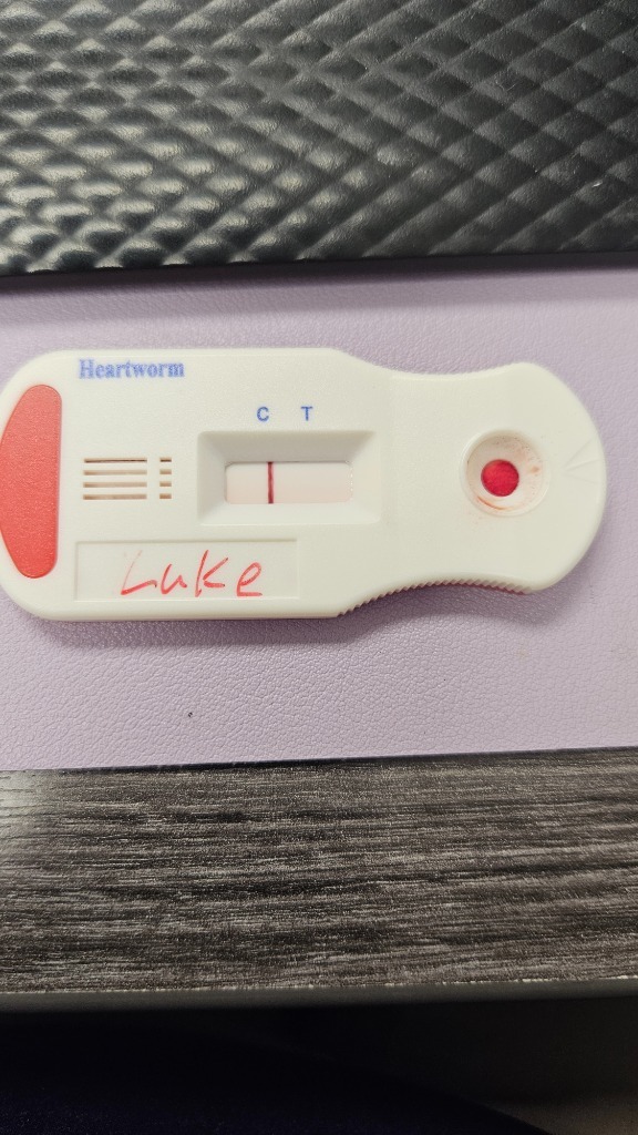 Luke