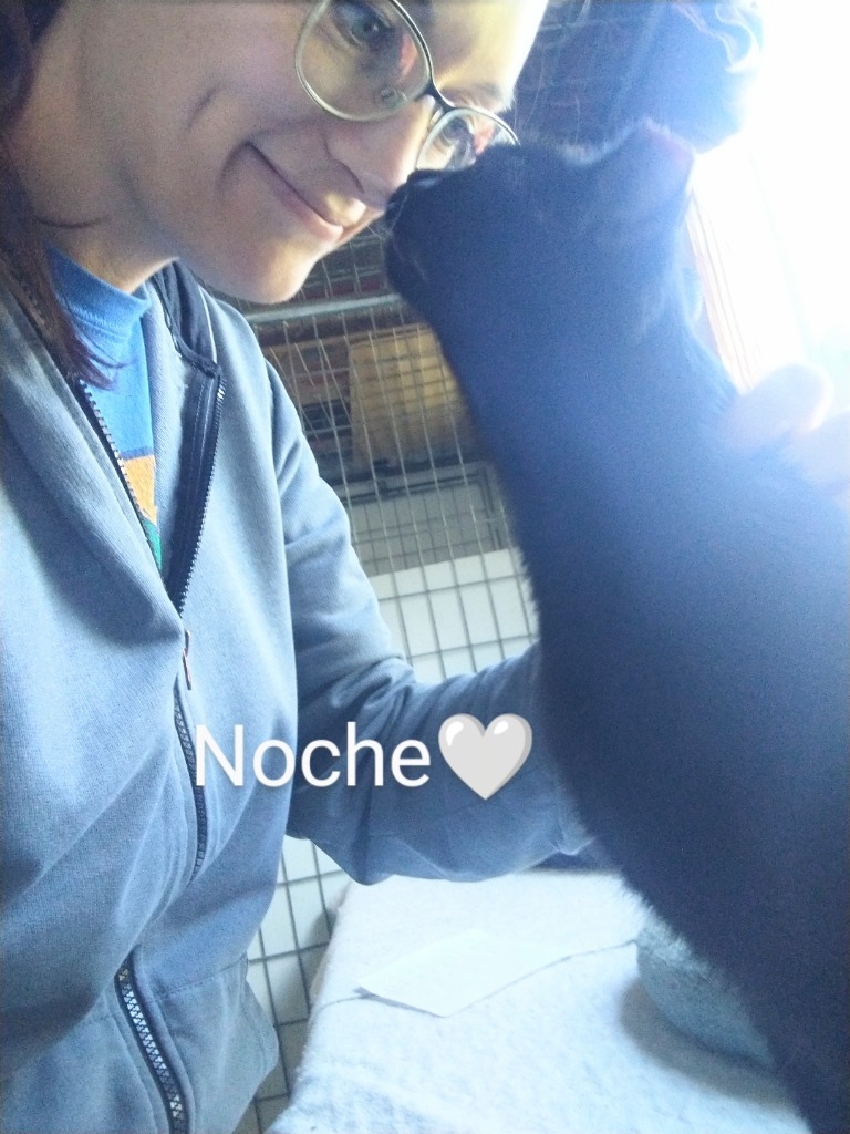 Noche
