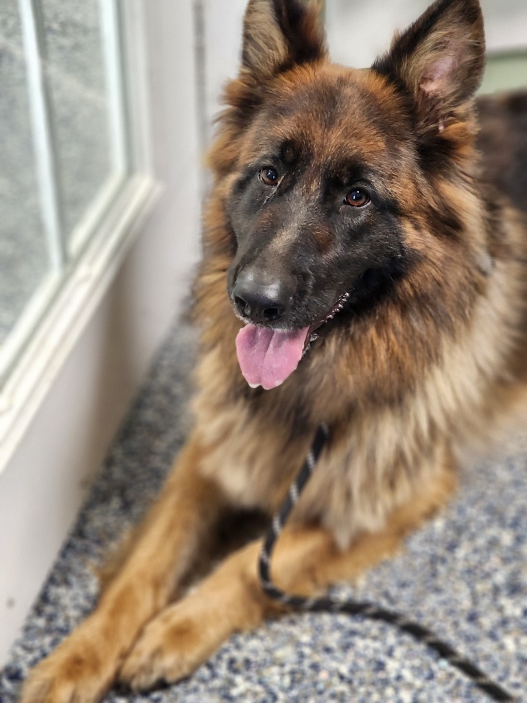 Matilda