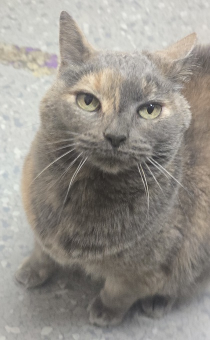 Winnie