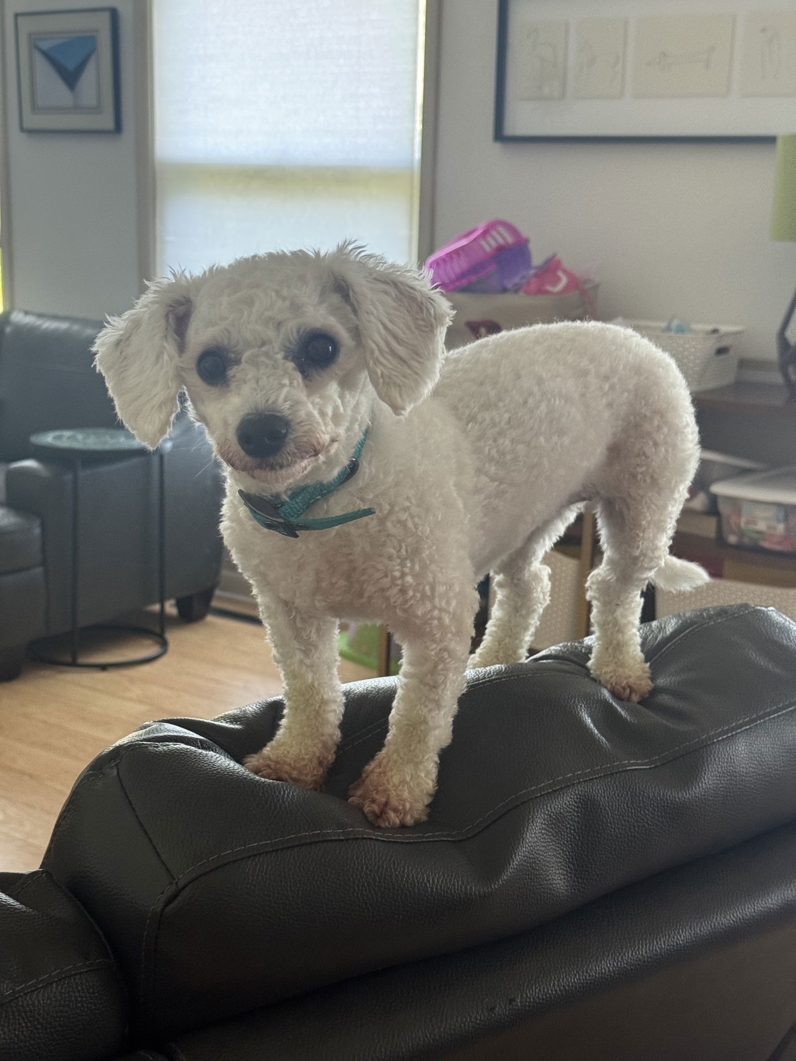 Stinker
