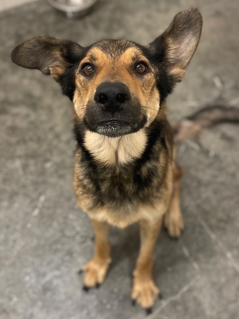 Jude