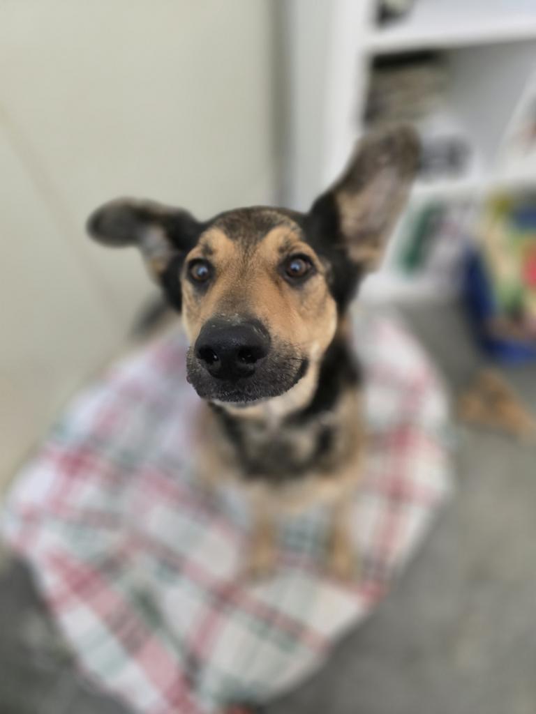 Jude