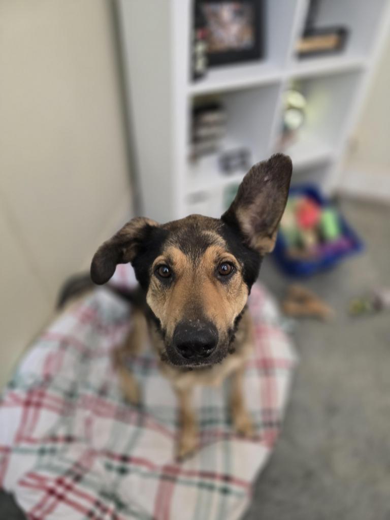 Jude