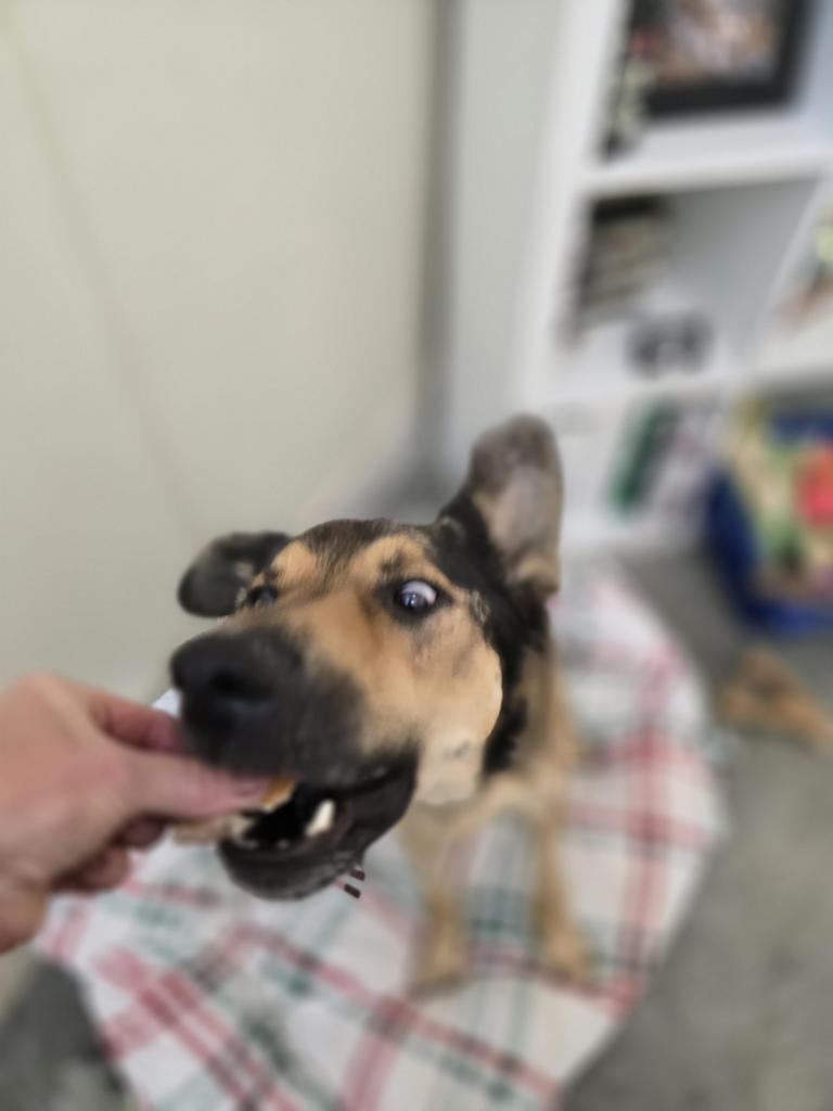 Jude