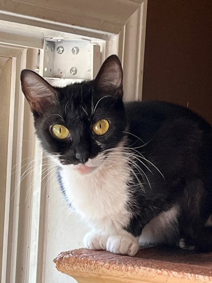 Minnie