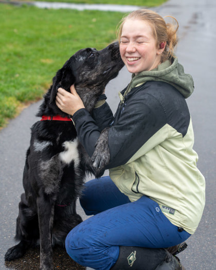 Jett, an adoptable Newfoundland Dog, Mixed Breed in Pequot Lakes, MN, 56472 | Photo Image 2