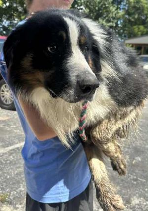 Sammy