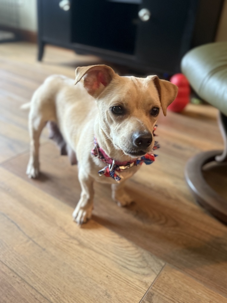 Nilla