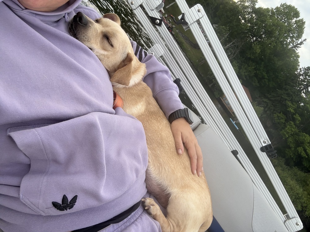Nilla