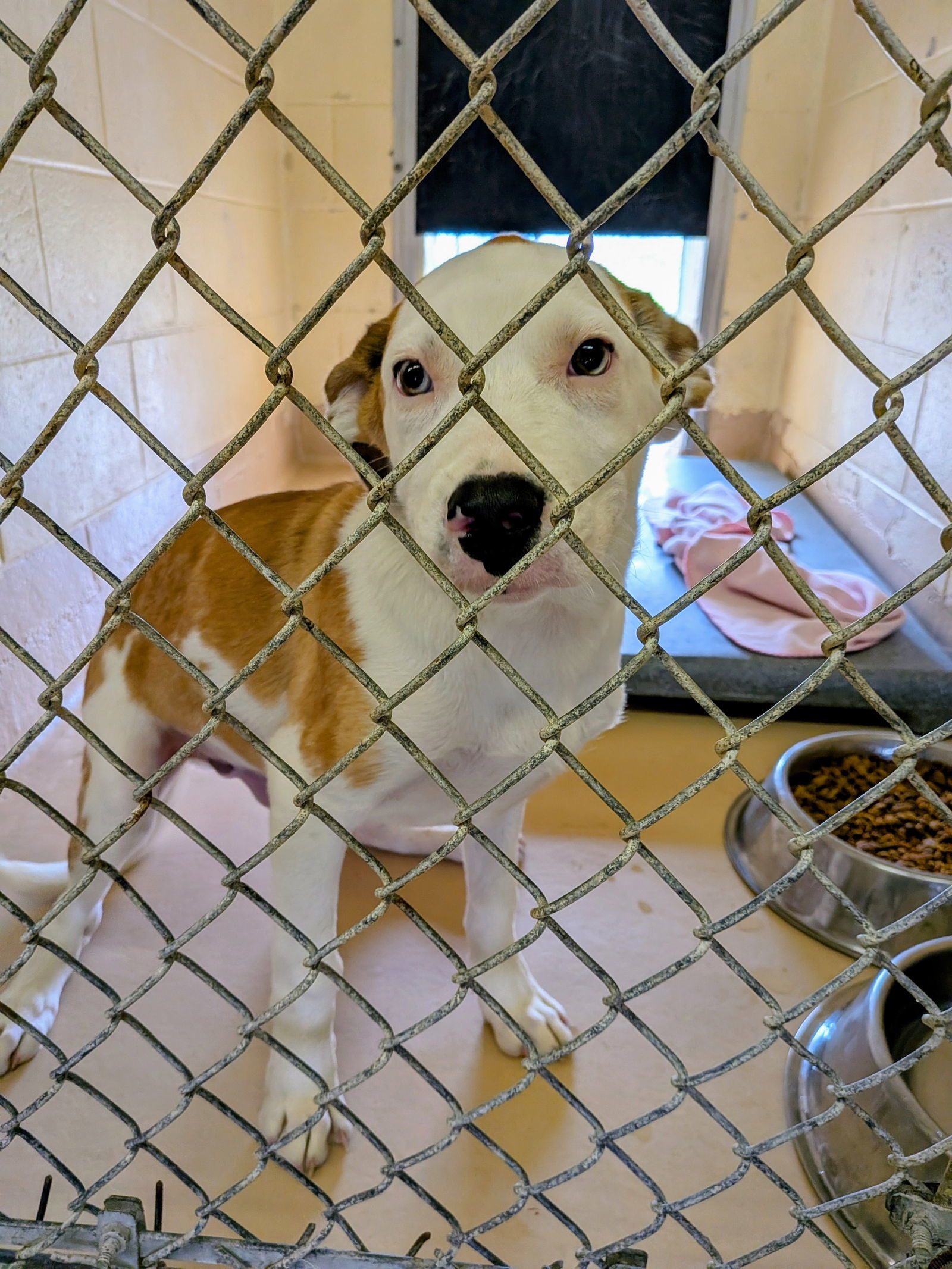 Rudy