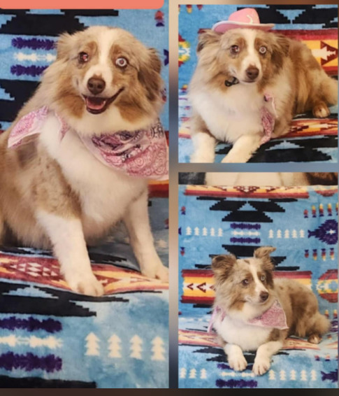 Ellie Mae In La