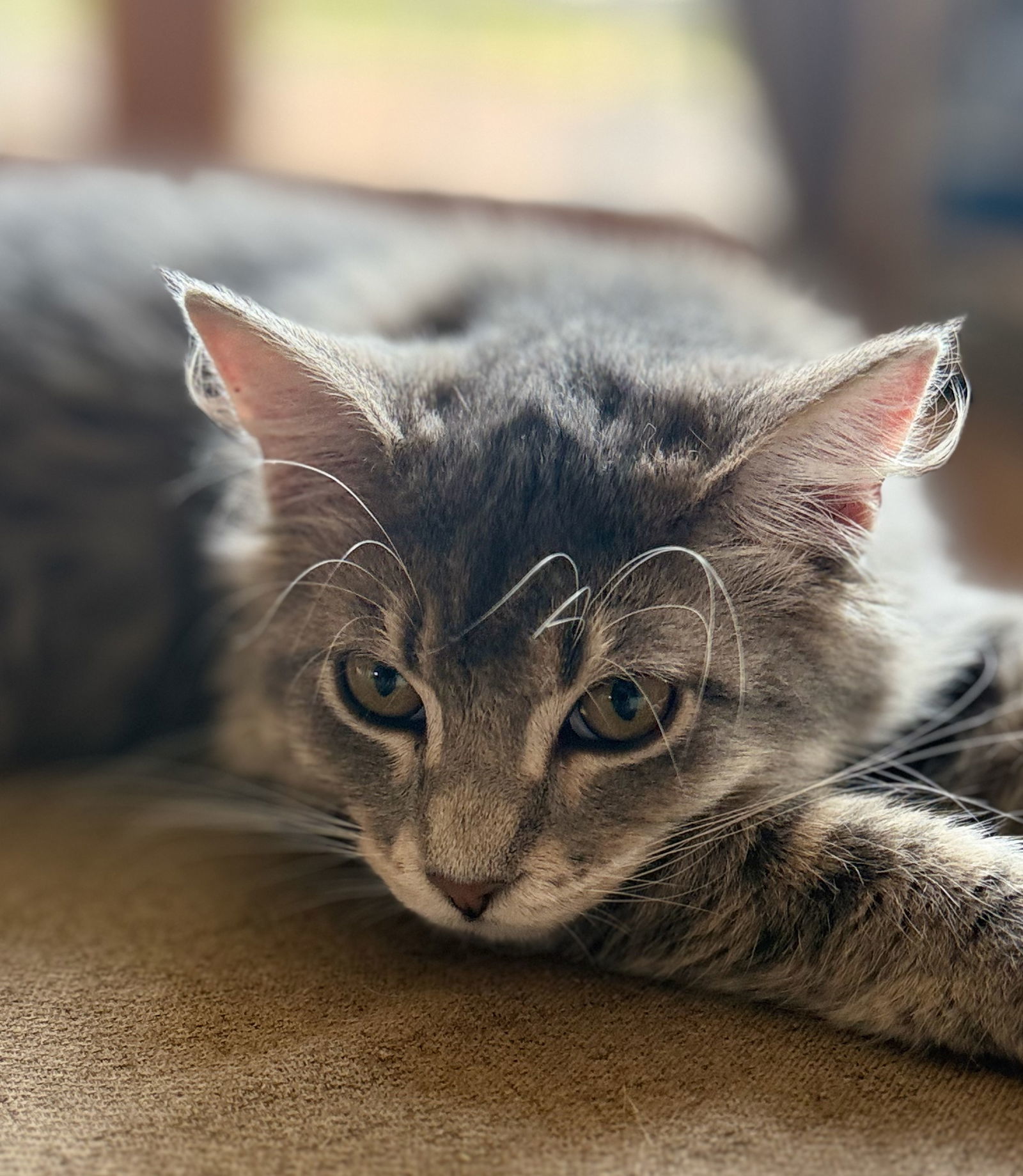 Marvin