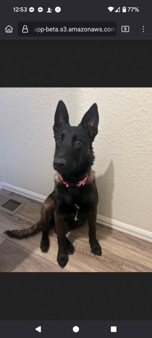 Skye- Located in Colorado