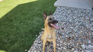 Echo - Located in CO