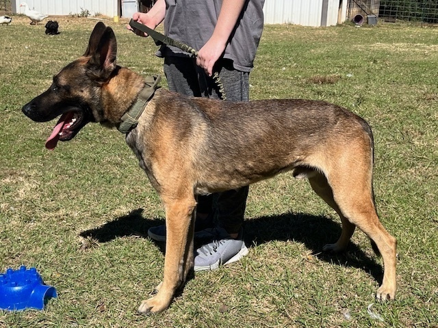 Ace - located in GA