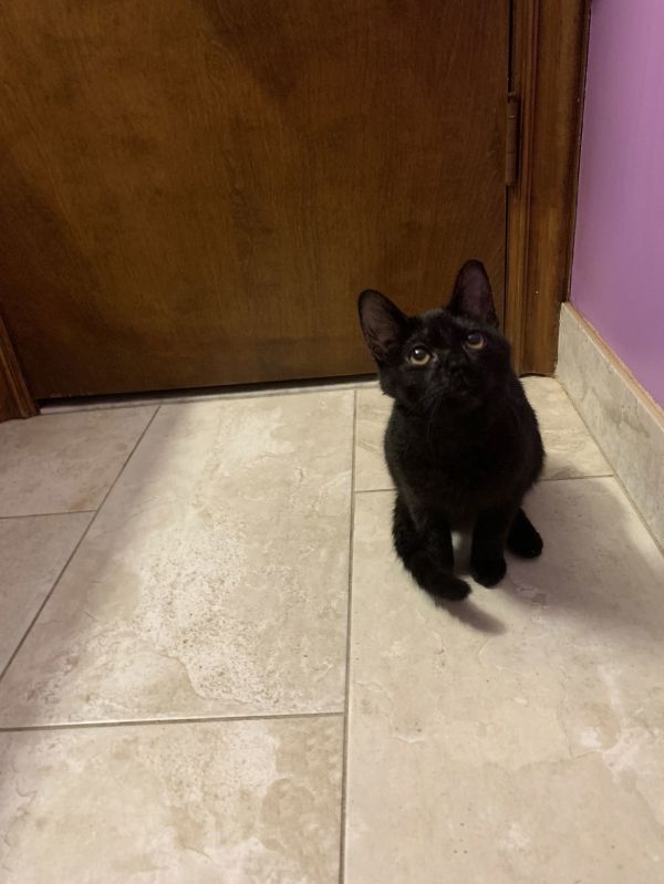 BO