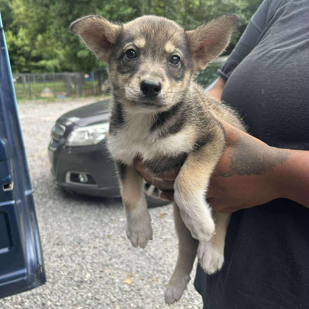 NY Sierra Avail Sep 13 (Kent Community Day)