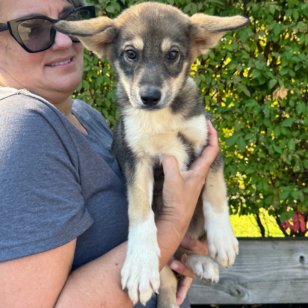 NY Sierra Avail Sep 13 (Kent Community Day)